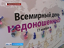 В театре кукол проходит праздник, посвящённый Международному дню недоношенных детей