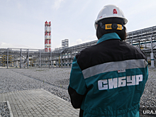 Пермяк возглавил АО «Сибур-Нефтехим»