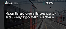 График движения поездов «Сапсан» и «Невский экспресс» между Москвой и Санкт-Петербургом изменят 11-28 мая