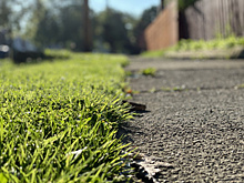 Соцсети помогли самарцам очистить улицы от мусора