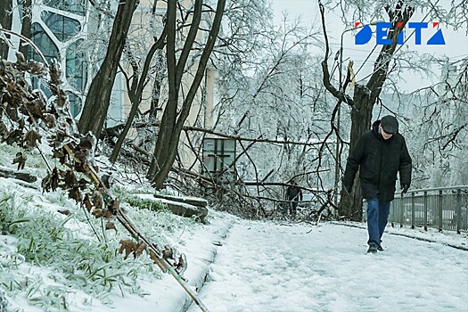 Кубай: в Приморье не будет мощного снегопада 15-16 декабря