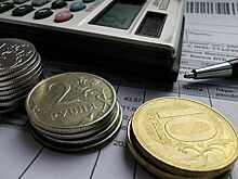 Небольшие благотворительные фонды хотят освободить от аудита