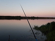 Рязанцы хвалятся трофеями в сезон рыбалки на щуку