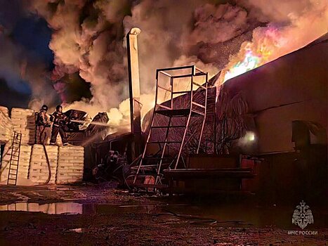 Пожарные ликвидируют пожар на складе в Удмуртии