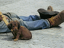 «Мы живем на такой планете, где родные — чужие»