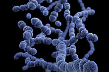Ученые обратили микрошипы из титана против супербактерий