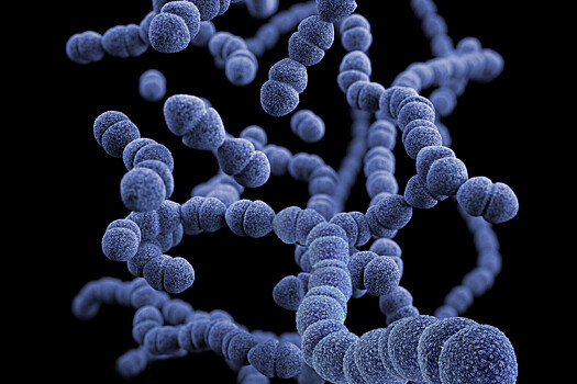Ученые обратили микрошипы из титана против супербактерий