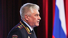 Глава МВД заявил о раскрытых в России ячейках украинских экстремистов