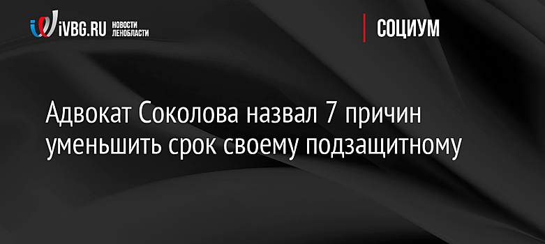 Адвокат Соколова назвал 7 причин уменьшить срок своему подзащитному