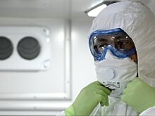 Украине предсказали гибель от "вируса ненависти"