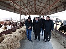 Экспорт лишнего зерна предложили заменить на муку из него