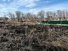 В Перми произошло первое возгорание сухой травы с начала года