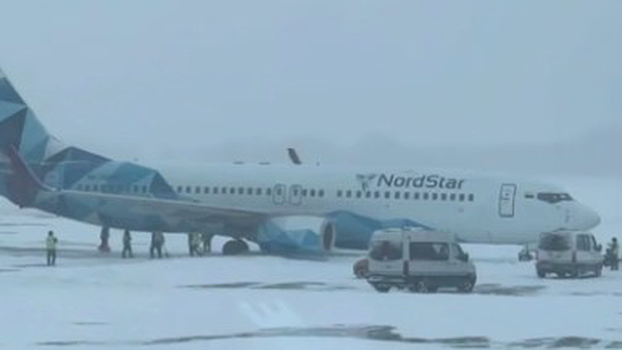 Сотрудники Домодедова откопали лопатами застрявший в сугробе самолет