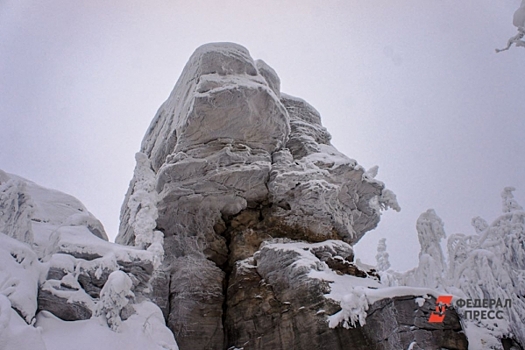 Сибиряки обсудили, почему семью Усольцевых не могут найти больше месяца