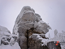 Сибиряки обсудили, почему семью Усольцевых не могут найти больше месяца