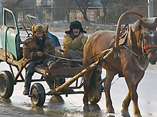 Лошадей на дорогах будет штрафовать… ГИБДД?