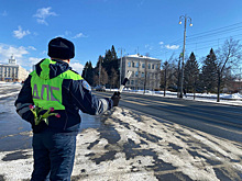 Курганские полицейские провели акцию «Цветы для автоледи»