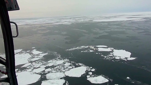 Исполнилось 206 лет со дня открытия Антарктиды российскими мореплавателями