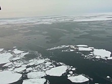 Исполнилось 206 лет со дня открытия Антарктиды российскими мореплавателями