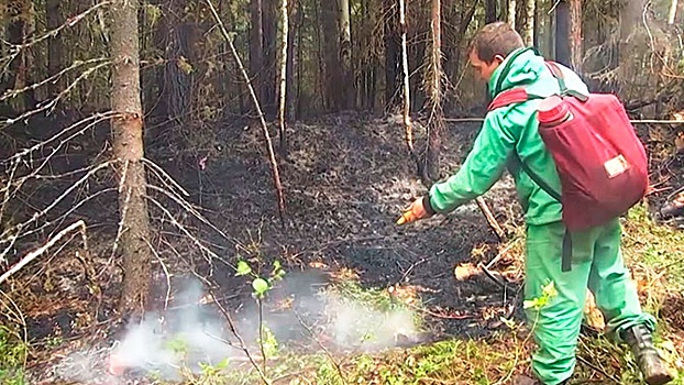 Огненная стихия: как борются с лесными пожарами в России