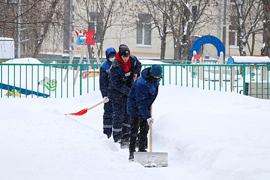Коммунальщики Смольного плохой уборкой порадовали только уток и гусей