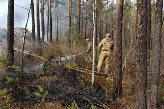 85 км горящей кромки леса потушила авиация МЧС в Иркутской области