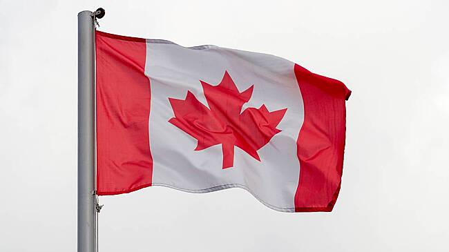 Депутат призвал Данию и ЕС защитить Канаду от Трампа