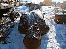 Украина Мазепы против Украины Пушкина