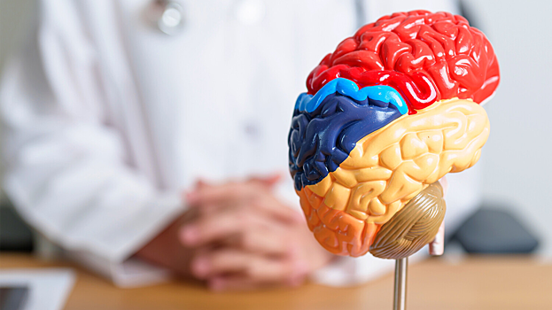 Российские ученые разработали новый метод лечения психических расстройств