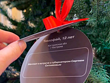 Губернатор Сергей Ситников дал старт акции «Елка желаний», исполнив мечты трех юных костромичей