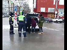 Тюльпановый переполох: полиция ловит цветочных торговцев в Новосибирске