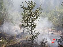 Лесной пожар потушили в Тюменской области