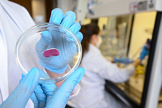 Ученые объявили о прорыве в создании дешевого «мяса из пробирки»