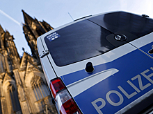 Психически больного мигранта признали виновным в смертельном нападении на малышей