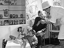 Витамины для здоровья: Главархив – о том, как Моссовет улучшал питание горожан в 1950-х годах