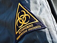 На Лениногорской птицефабрике в Татарстане отменили карантин по птичьему гриппу