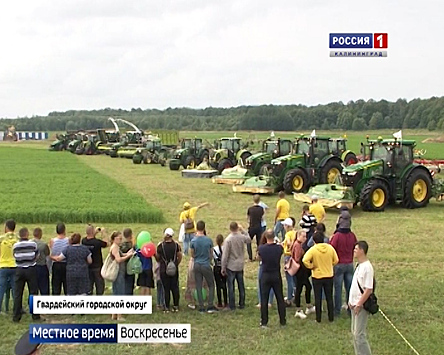В Калининградской области прошёл агрофестиваль «День балтийского поля»