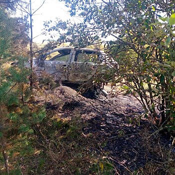 В Курской области выгорел автомобиль, съехавший в кювет