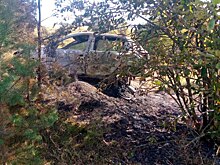 В Курской области выгорел автомобиль, съехавший в кювет