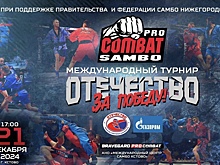 Международный турнир по профессиональному боевому самбо «Отечество за Победу!» пройдет в Кстове