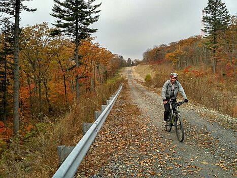 Велосипедистов хотят обязать позаботиться о себе