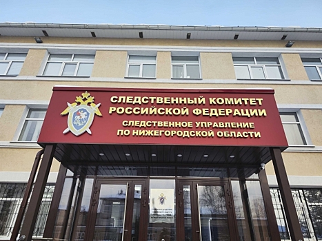 Нижегородца отправили под стражу за развращение детей