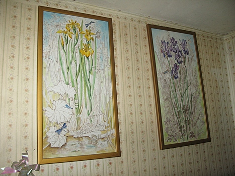 Жительница Новогиреева Наталья Замятина рисует растения с фотографической точностью