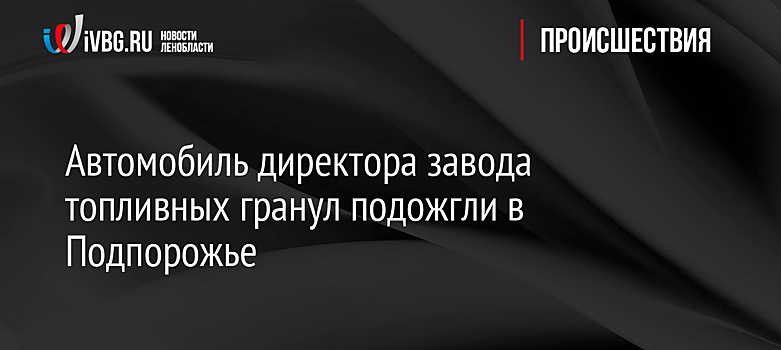 Автомобиль директора завода топливных гранул подожгли в Подпорожье