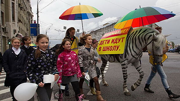 В МВД призвали учить детей поведению на дорогах с начальной школы