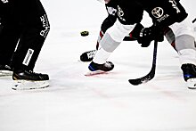 В Чехии оценили возможный недопуск россиян на матч НХЛ в Праге