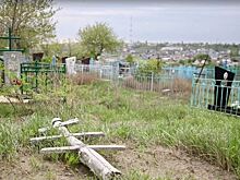 УФАС снова требует у депутатов гордумы навести порядок на кладбищах Волгограда
