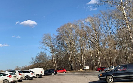 Фото: Рязанцы гуляют в Лесопарке, несмотря на карантин