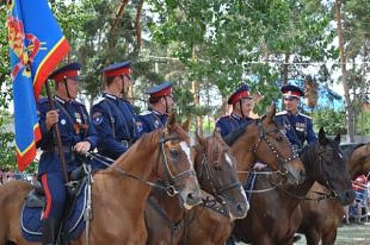 Донского губернатора просят увеличить финансирование ростовских казаков