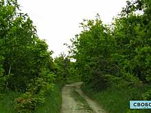 Пожары в Саратовской области охватили 17 гектаров лесов